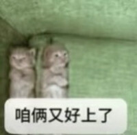 表情包
