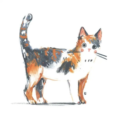 作者：Silvan Borer