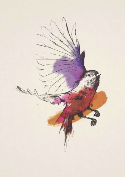 作者：Silvan Borer