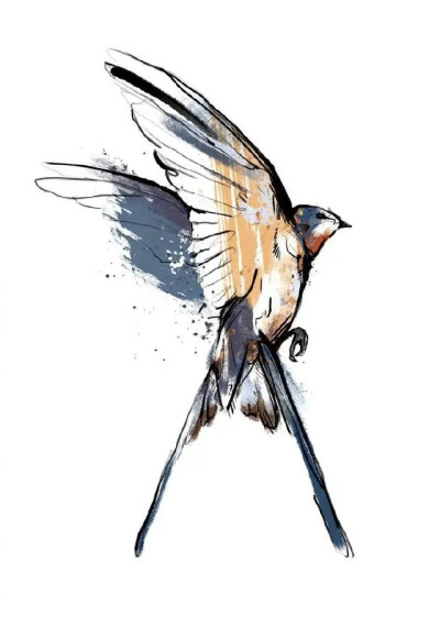 作者：Silvan Borer