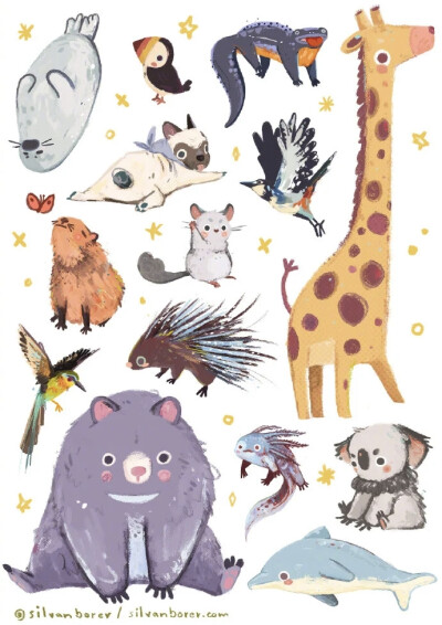 作者：Silvan Borer