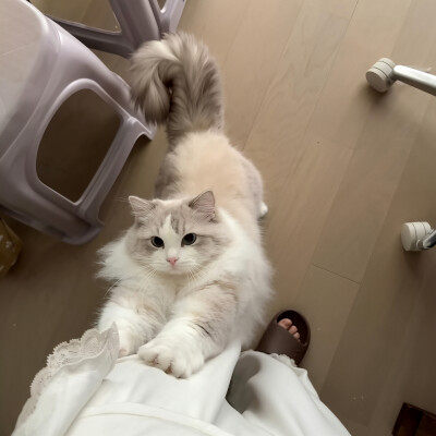 不分开的秘诀是什么=ω=…