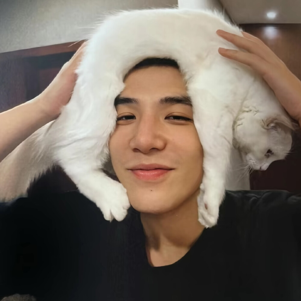 头像丨男头 靠近阳光里 什么也不用想