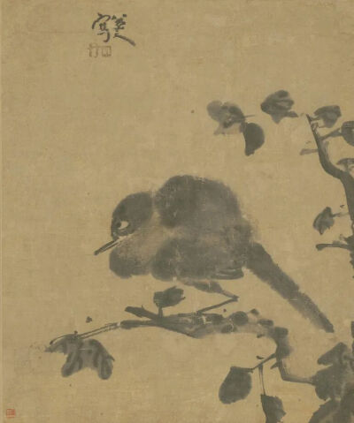 清代 朱耷《棲鸟图页》
台北故宫博物院藏
