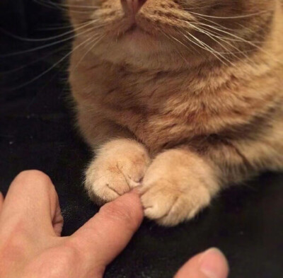 头像丨男头 靠近阳光里 什么也不用想