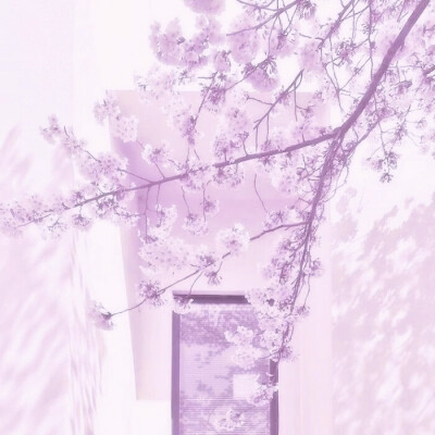 人们常说人生若只如初见 我会去想 到底是什么样的羁绊才能让陌生的两颗心脏依偎在一起