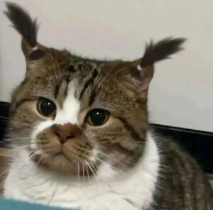 #好抽象的艺术行为