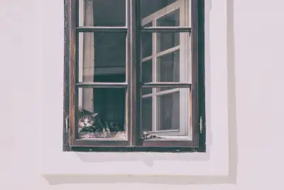 Photo by WPcoder