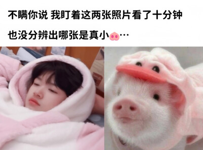 张极