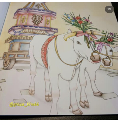 涂色