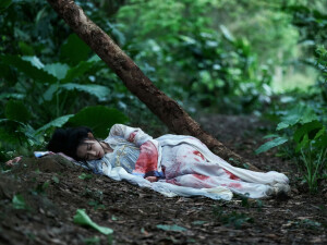 尚公主 暮晚摇 孟子义 