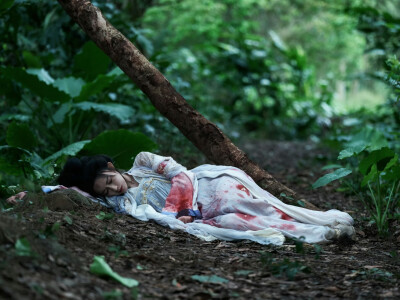 尚公主 暮晚摇 孟子义 