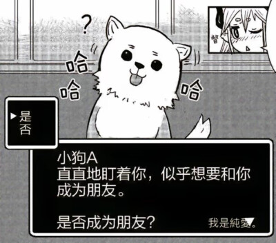 ♡\(˶- ω -˵)