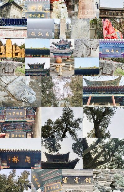 艮岳松风凝圣义坤舆柏影照麟经