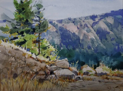 这些作品就是出自华裔水彩画家钟永宏之手他的水彩，不仅受到来自世界各地人们的追捧他还开授了自己的网上水彩课程成为无数人争相学习的水彩首选