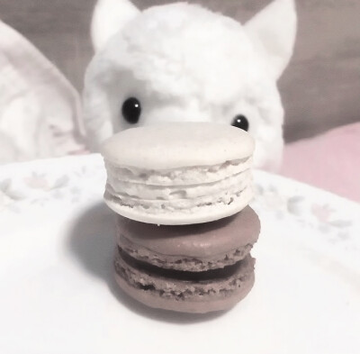 熊的眼泪ㅇㅊㅇ，，