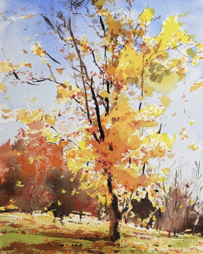 这些作品就是出自华裔水彩画家钟永宏之手他的水彩，不仅受到来自世界各地人们的追捧他还开授了自己的网上水彩课程成为无数人争相学习的水彩首选