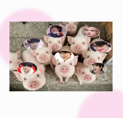 再也无法忘记的你