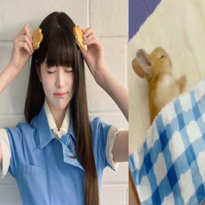 你最可爱的娃娃脸