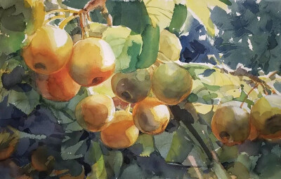 这些作品就是出自华裔水彩画家钟永宏之手他的水彩，不仅受到来自世界各地人们的追捧他还开授了自己的网上水彩课程成为无数人争相学习的水彩首选