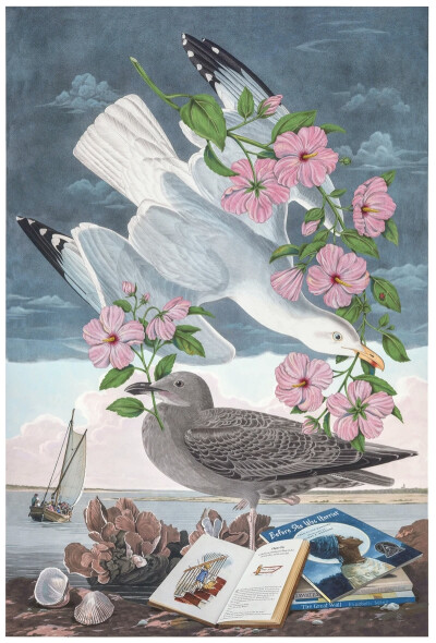 佩内洛普·戈特利布 (Penelope Gottlieb) 从形式和主题上彻底颠覆了花卉绘画的传统。在她的“入侵植物”系列中，戈特利布挪用并大幅改动了约翰·詹姆斯·奥杜邦 (John James Audubon) 档案中现有的数码版画——怪不得那…