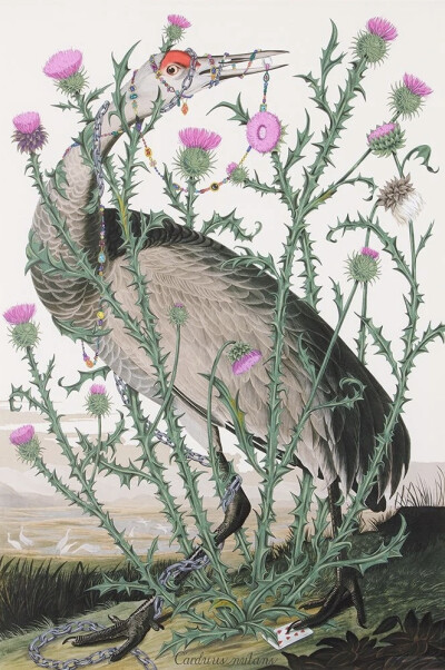 佩内洛普·戈特利布 (Penelope Gottlieb) 从形式和主题上彻底颠覆了花卉绘画的传统。在她的“入侵植物”系列中，戈特利布挪用并大幅改动了约翰·詹姆斯·奥杜邦 (John James Audubon) 档案中现有的数码版画——怪不得那…