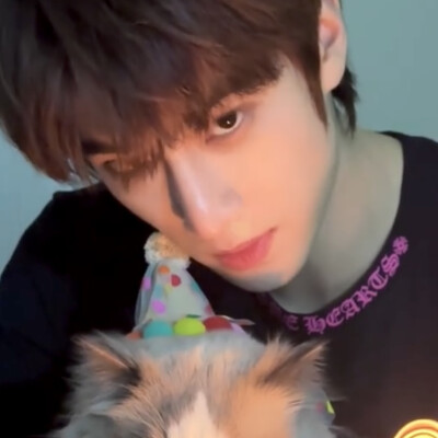 宠物博主回家好吗