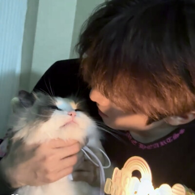 宠物博主回家好吗