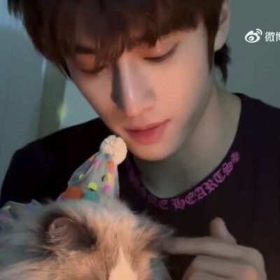 宠物博主回家好吗