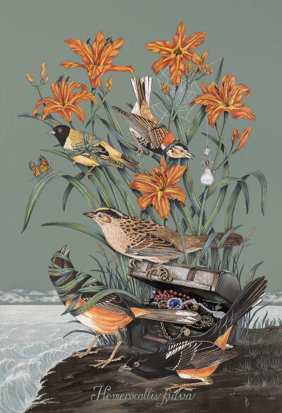 佩内洛普·戈特利布 (Penelope Gottlieb) 从形式和主题上彻底颠覆了花卉绘画的传统。在她的“入侵植物”系列中，戈特利布挪用并大幅改动了约翰·詹姆斯·奥杜邦 (John James Audubon) 档案中现有的数码版画——怪不得那…