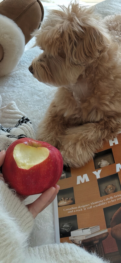 ‎#ليست قوى خارقة للطبيعة