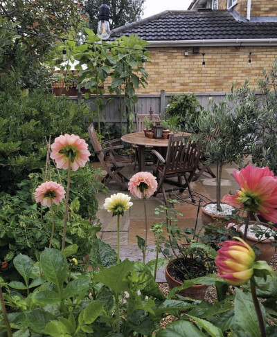 在自己的小庭院里满满的都是幸福的味道。