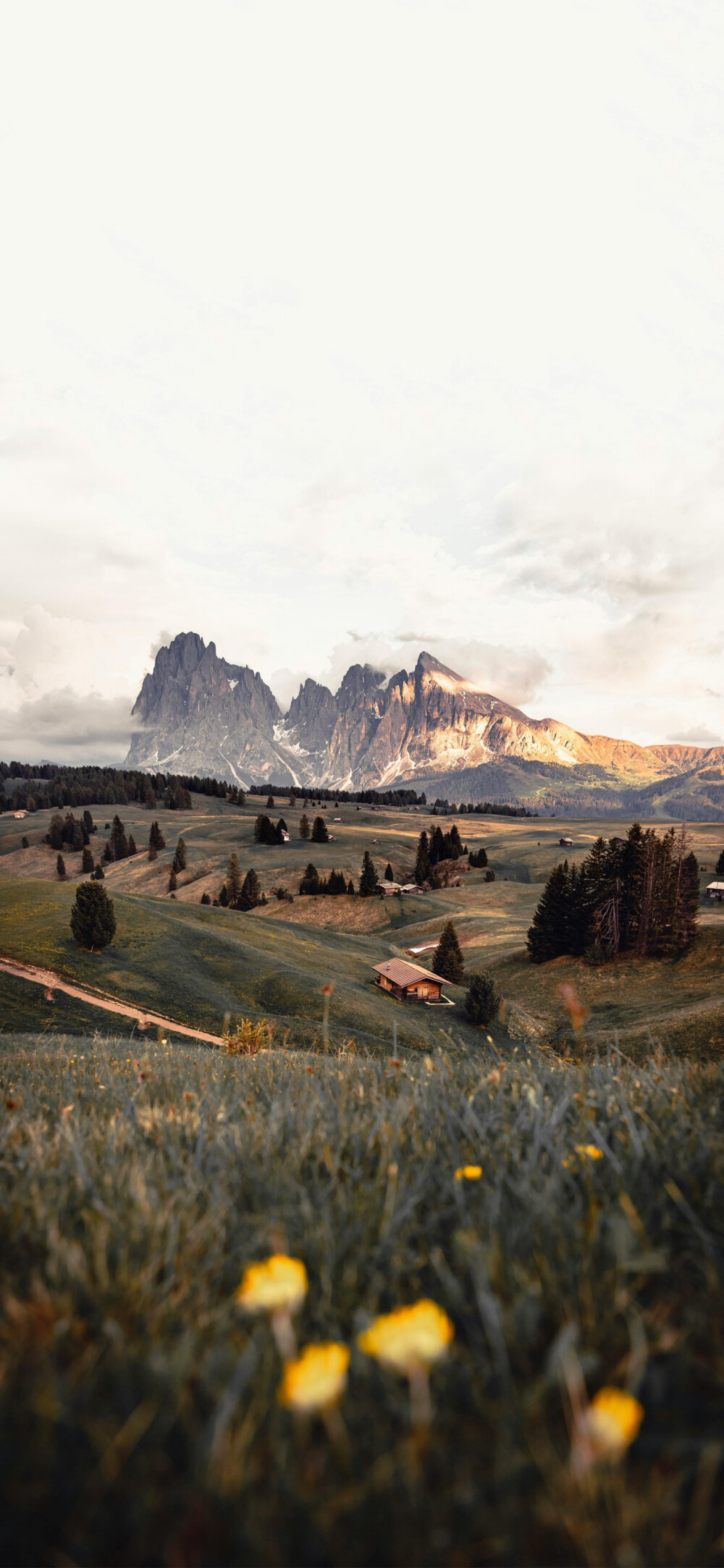 ‎#ليست قوى خارقة للطبيعة