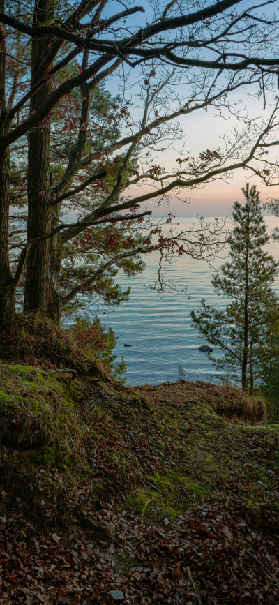 ‎#ليست قوى خارقة للطبيعة