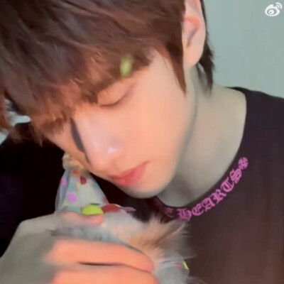 宠物博主回家好吗