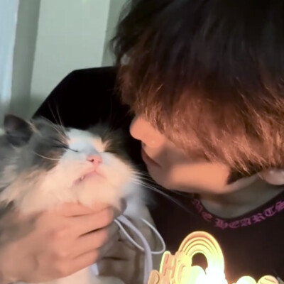 宠物博主回家好吗