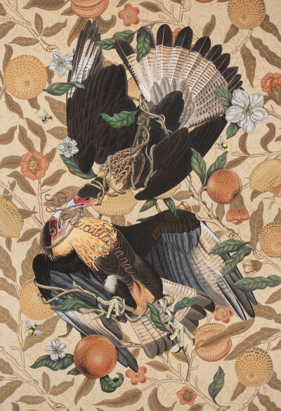 佩内洛普·戈特利布 (Penelope Gottlieb) 从形式和主题上彻底颠覆了花卉绘画的传统。在她的“入侵植物”系列中，戈特利布挪用并大幅改动了约翰·詹姆斯·奥杜邦 (John James Audubon) 档案中现有的数码版画——怪不得那…