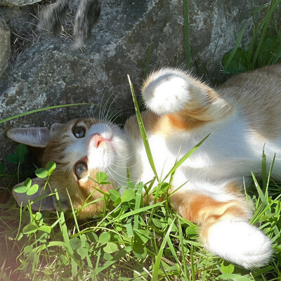 ‎#ليست قوى خارقة للطبيعة