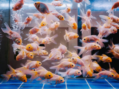 ‎#ليست قوى خارقة للطبيعة