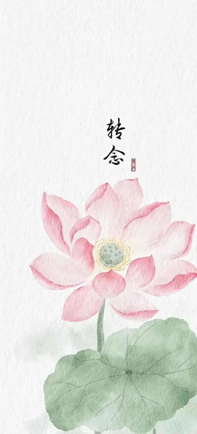 文字壁纸
图片来自网络，侵删