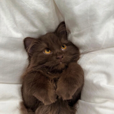 ‎#ليست قوى خارقة للطبيعة