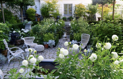 在自己的小庭院里满满的都是幸福的味道。