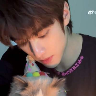 宠物博主回家好吗