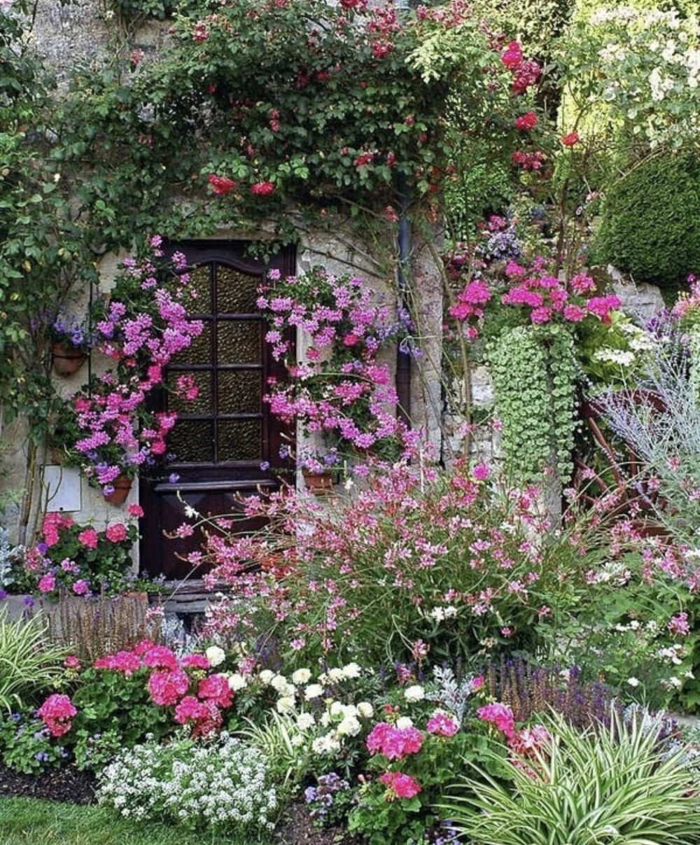 在自己的小庭院里满满的都是幸福的味道。