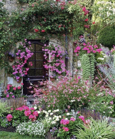 在自己的小庭院里满满的都是幸福的味道。