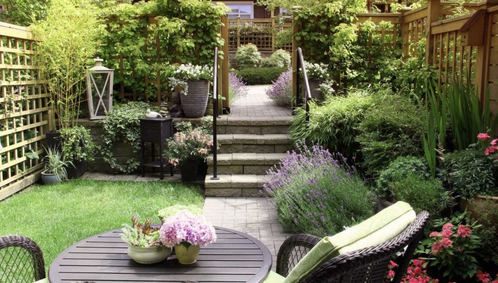 在自己的小庭院里
满满的都是幸福的味道。
