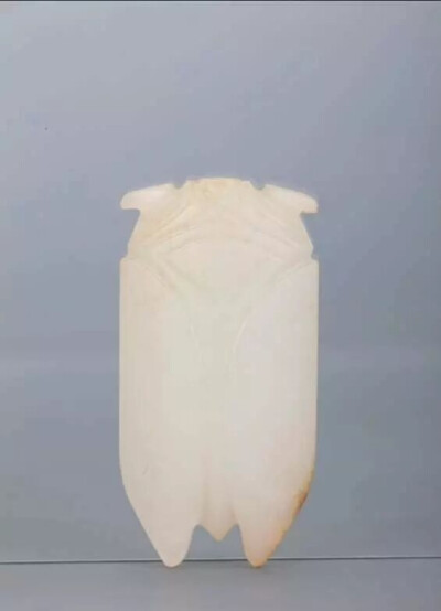 汉代  白玉蝉
观复博物馆藏
