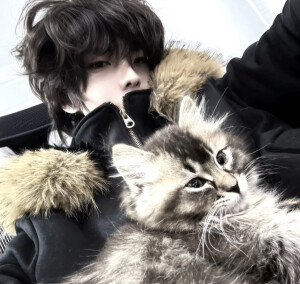 二传注明堆糖：常畫