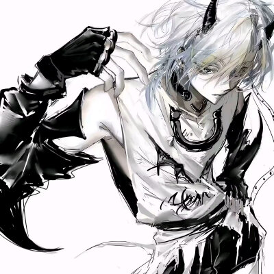 男头 权威 帅 动漫 鲁路修 酷拉皮卡