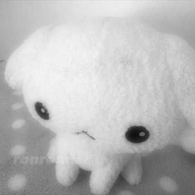 (˶‾᷄ ⁻̫ ‾᷅˵)